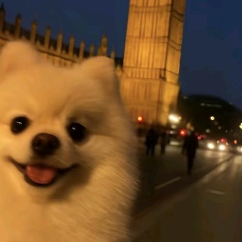 🍓可口可乐🍓