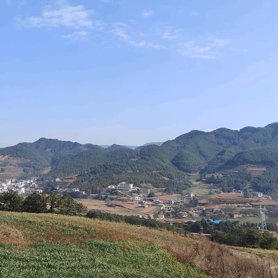 今生无悔