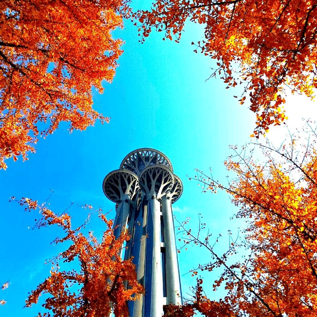 ঞ🍒史来运转꧔ꦿ᭄