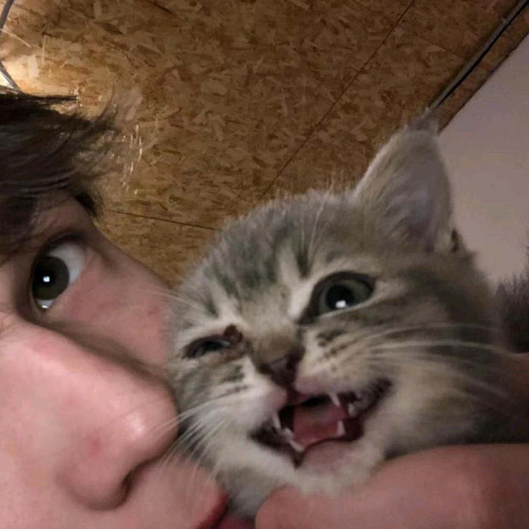 恸
