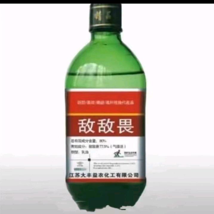 网恋奔现发现女友是东北雨