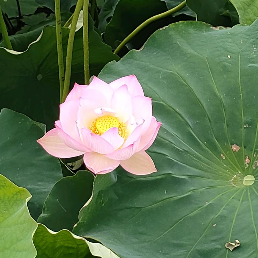 做冷库的小哥哥