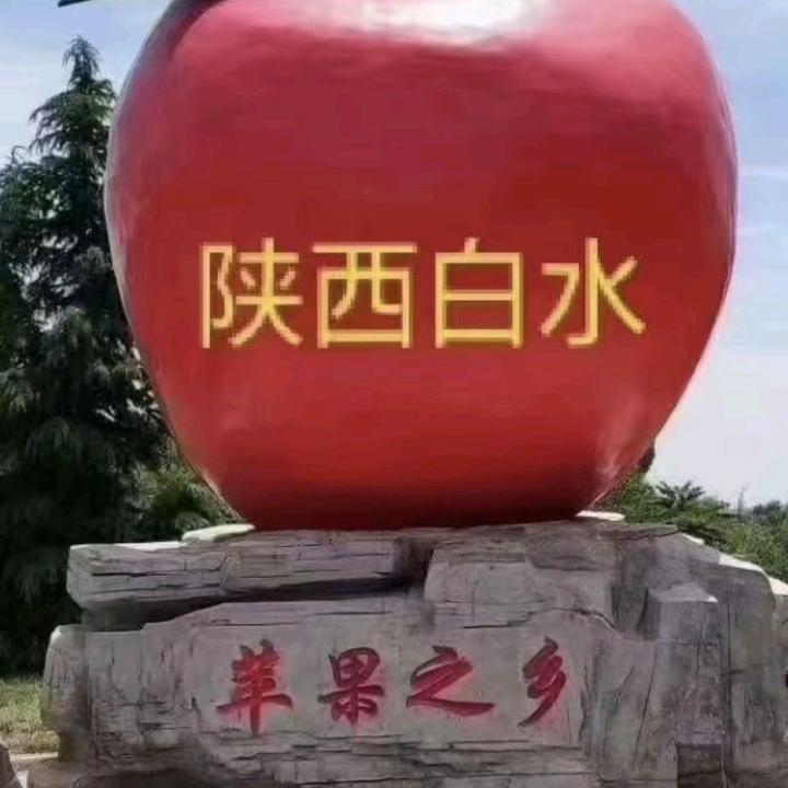 白水大队