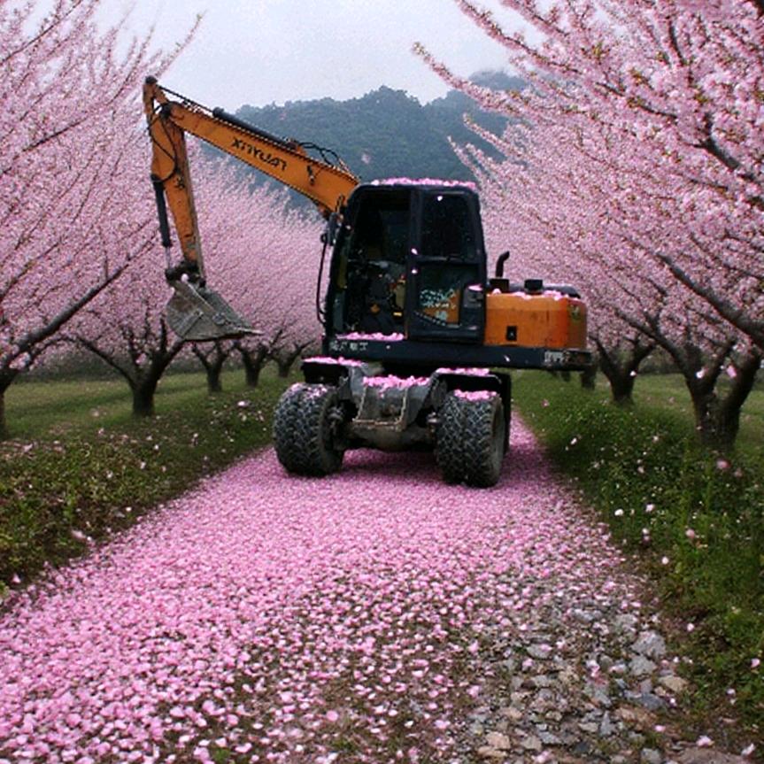 @龚挖挖《挖机出租》