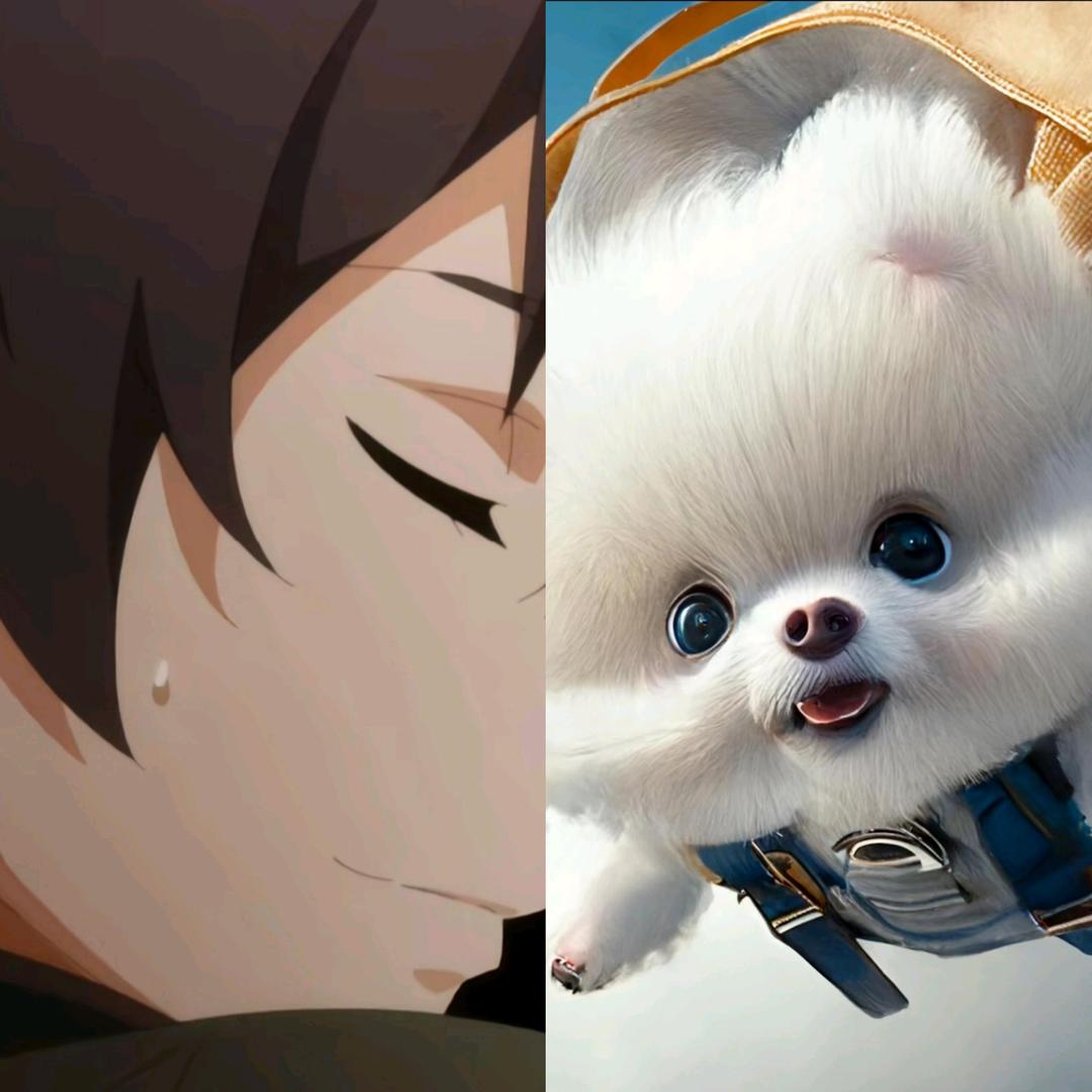 .11.✨头像