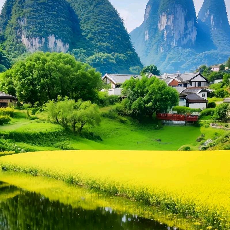 晓晓