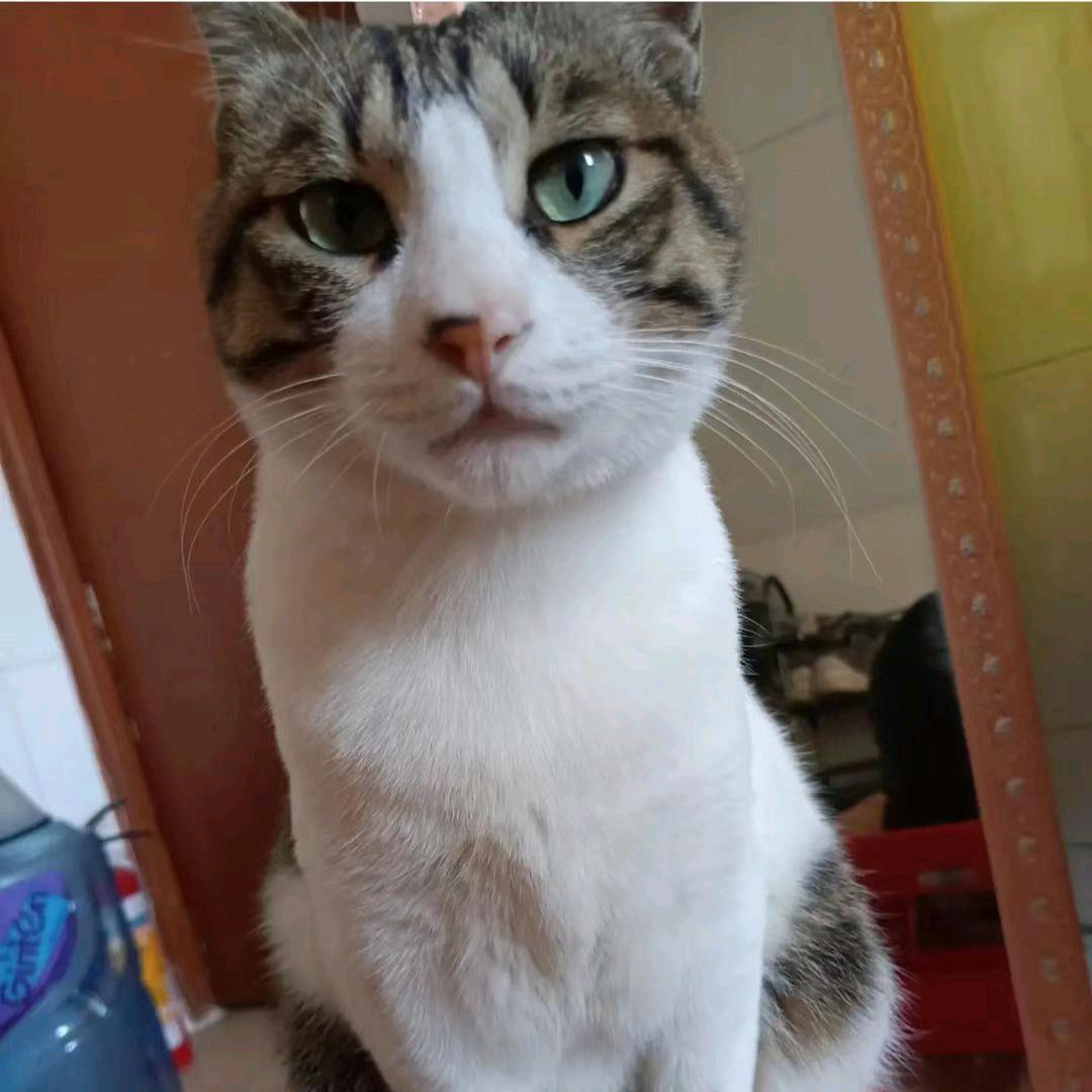 半城烟沙✪ω✪