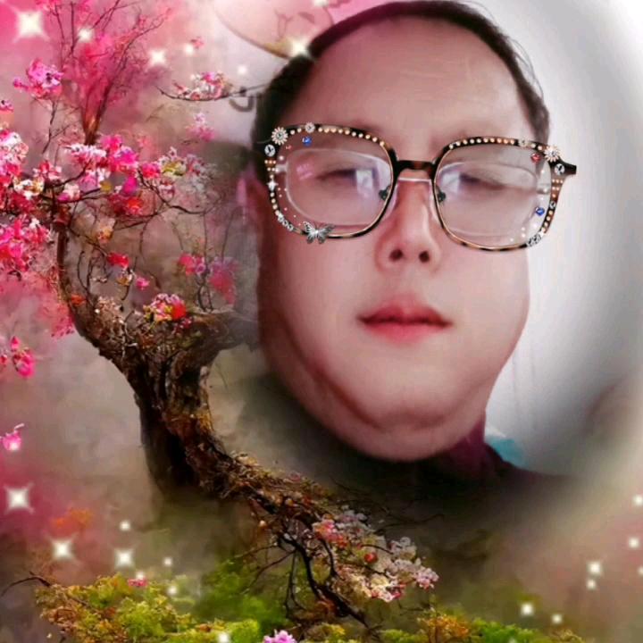 周口王哥