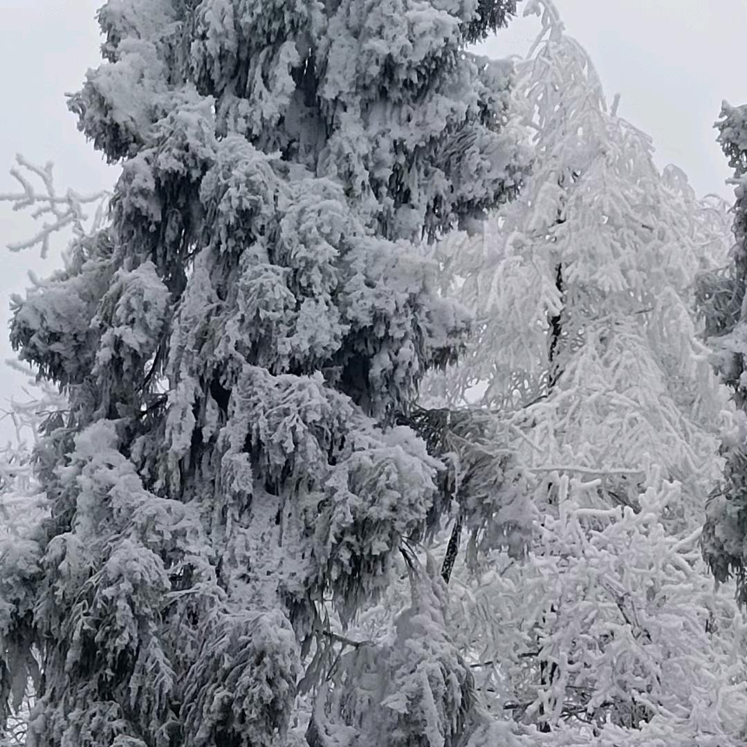 ♈️听说💕糖很甜💞💞