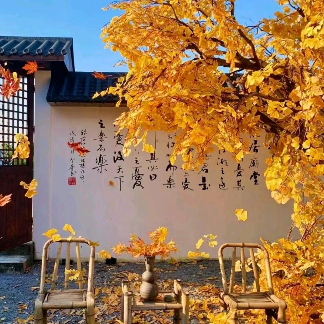 随遇而然