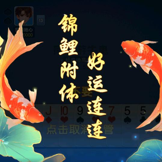 篮球&足球
