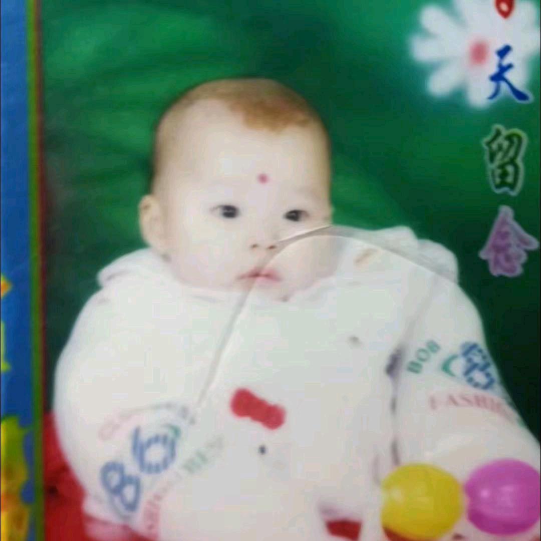 红梅