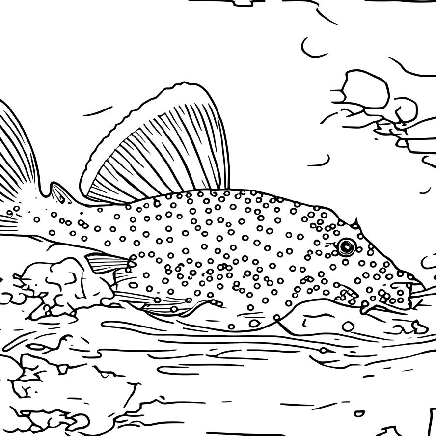 南美异形水族馆