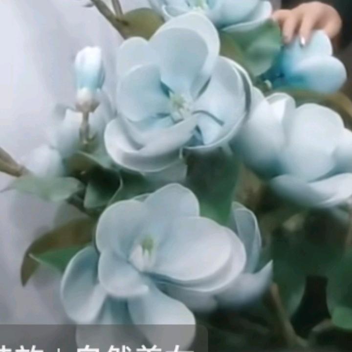 一生平安🌷🌹🌺🌴