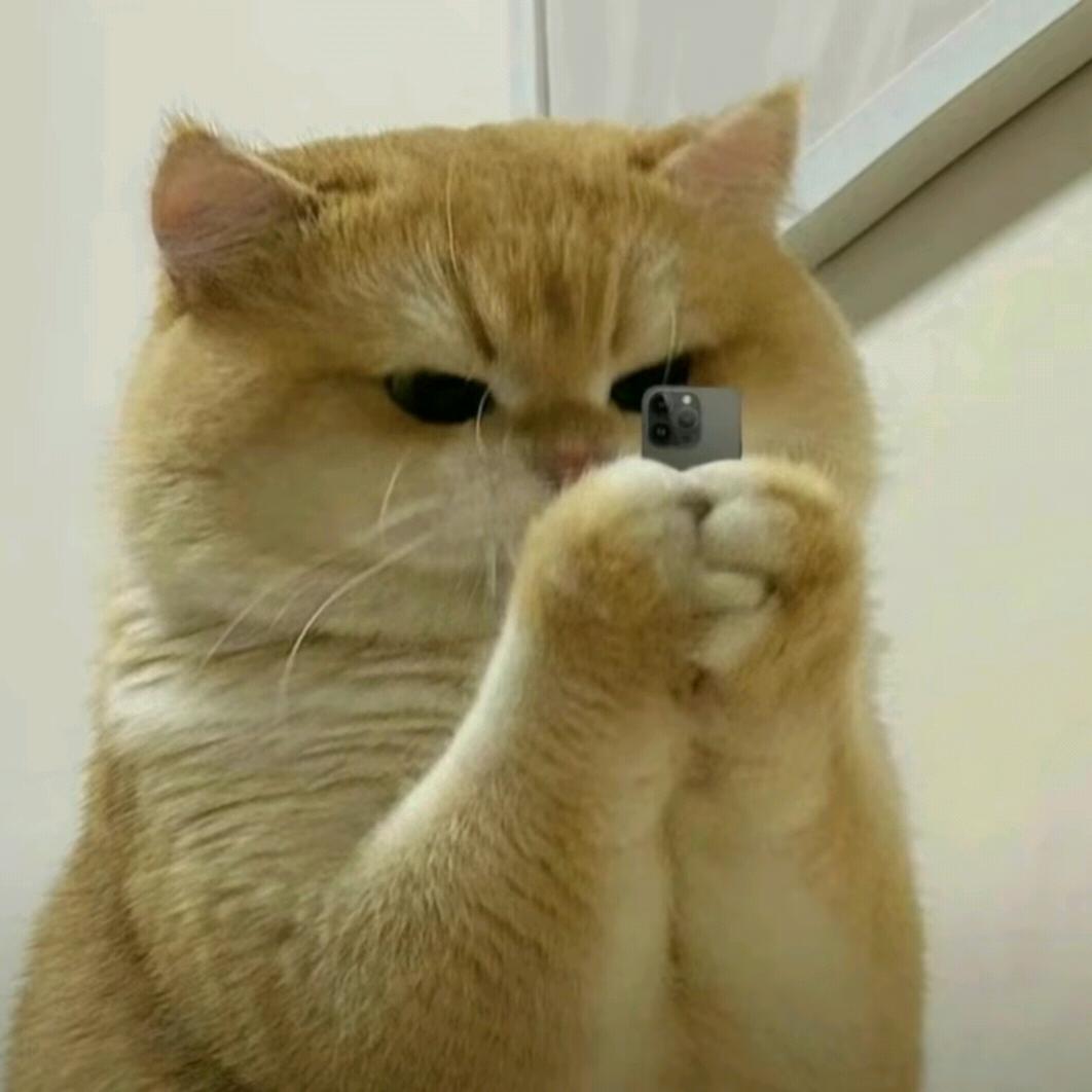 🌾🌾刘ber～¹⁷