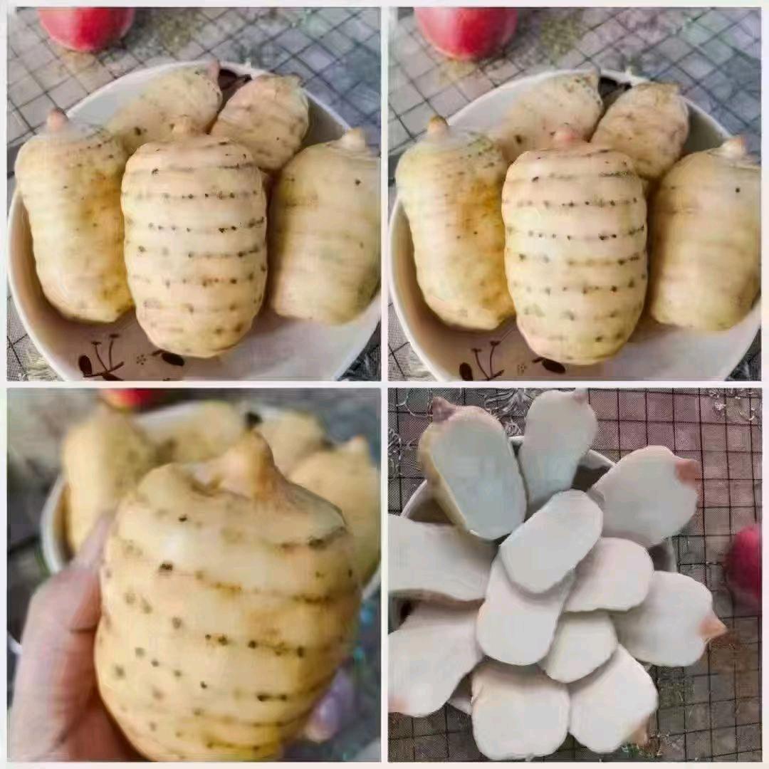 罒夕丶厂大亻人匕