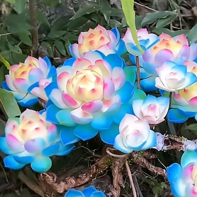♥丽(∗❛ัᴗ❛ั∗)姐♛