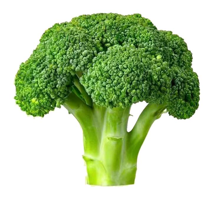 创美优选