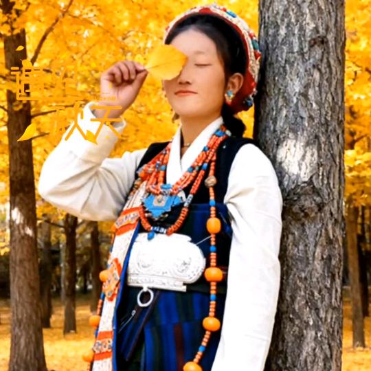 🌺一切🐍随缘🌻