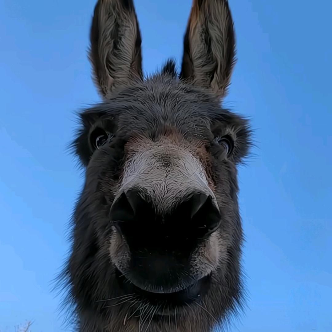 谪丶仙