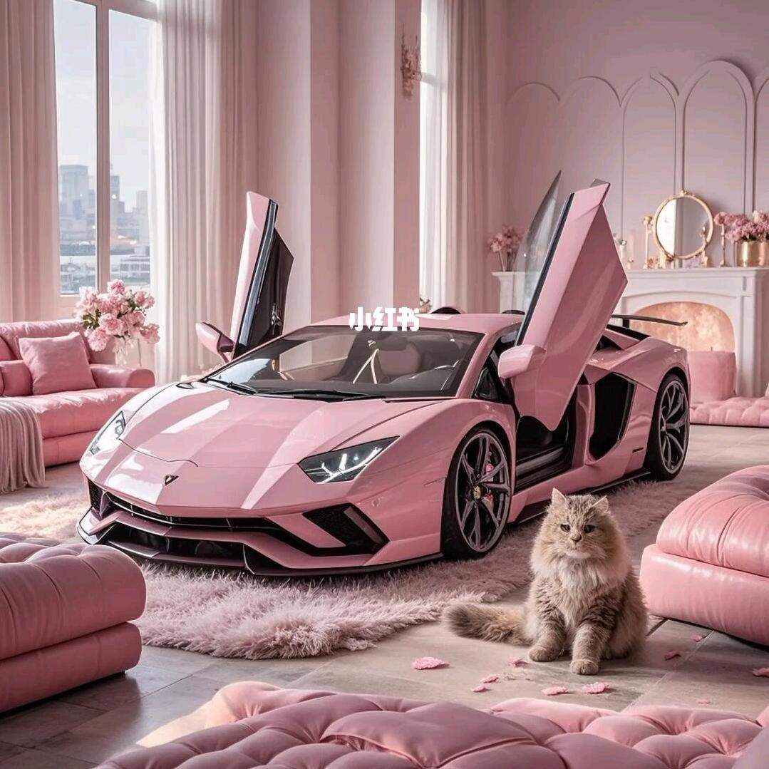 遵义幺妹二手车