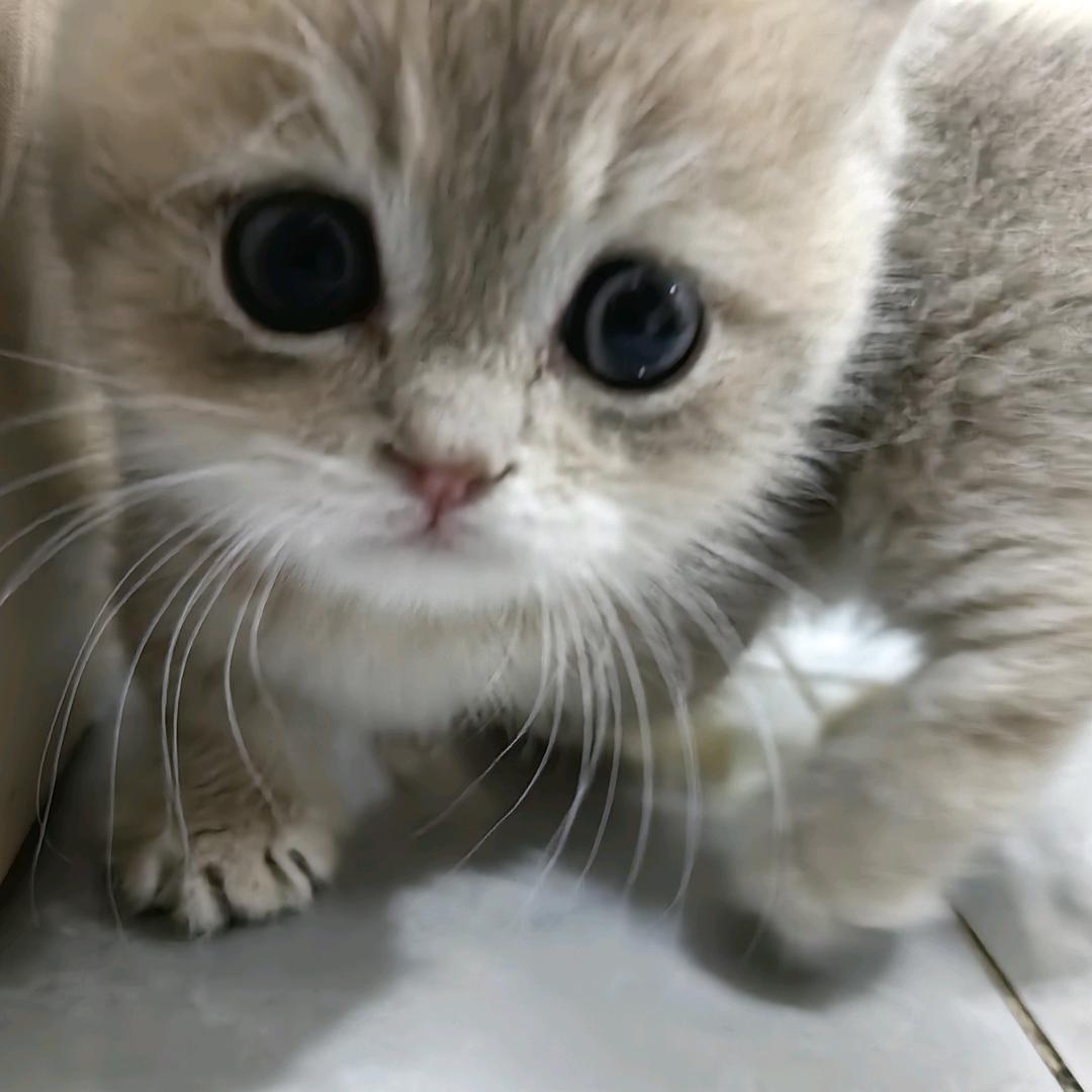 尔尔🍒
