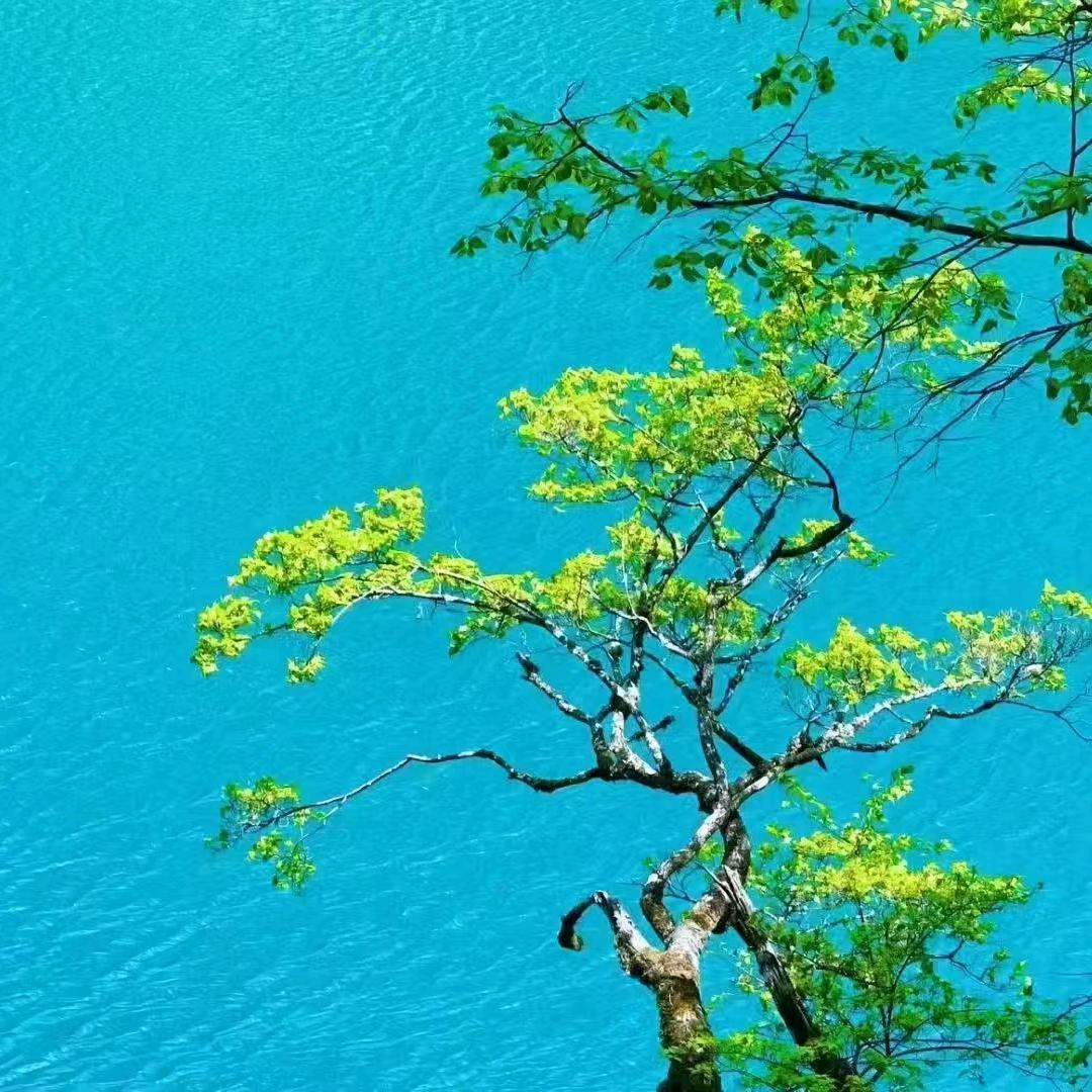 祥＊和🌈🌈🌈