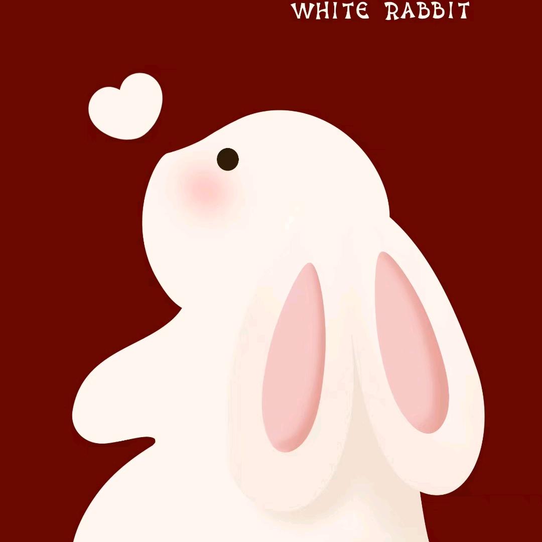 若孤🐇