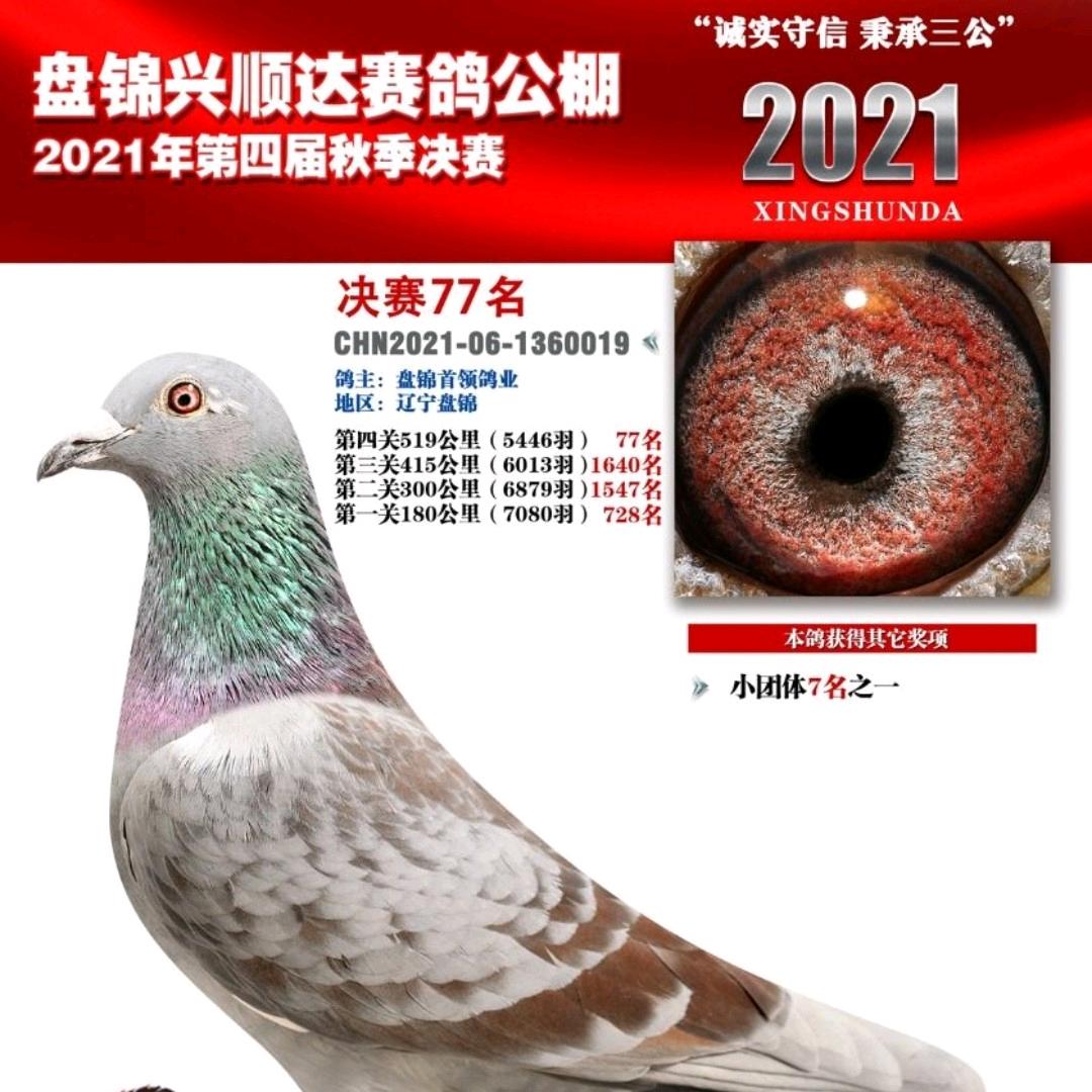 红二线