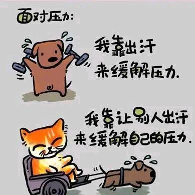 销售维修线切割机