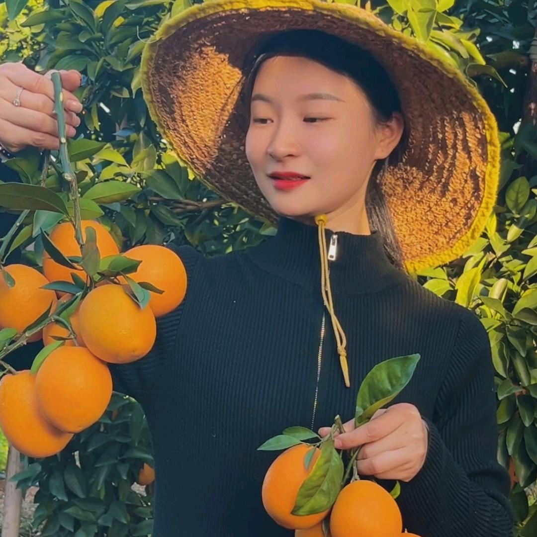 橙香与烟火（涨粉中）