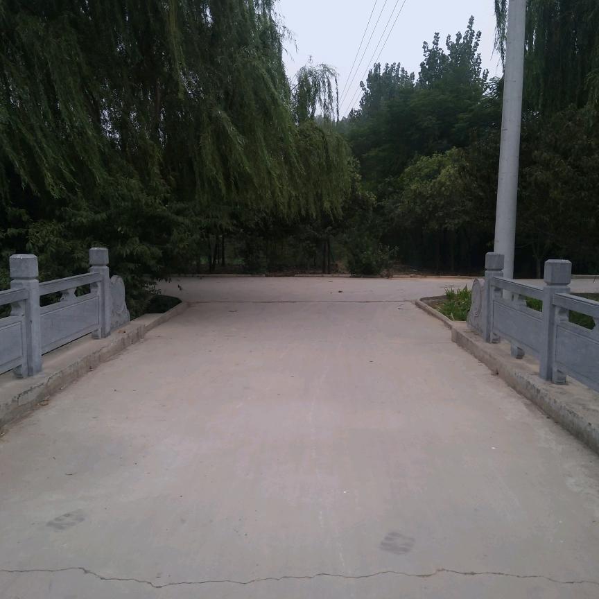 东哥．