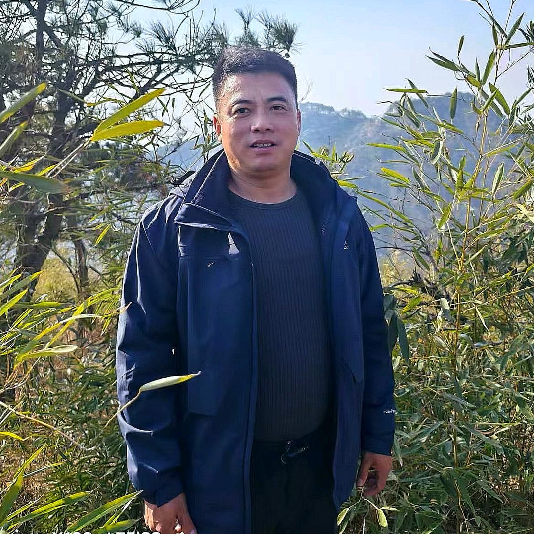 网格砂纸大全/桐城市星兴装饰辅料有限公司