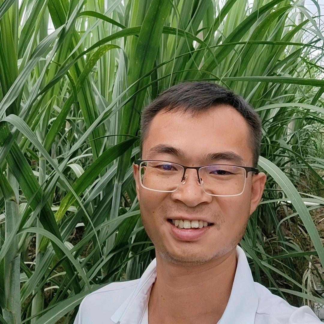 何以笙箫默