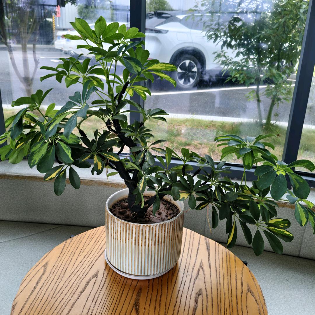 用户健康快乐每一天