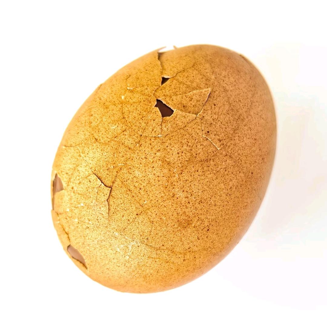 二战游戏爱好者