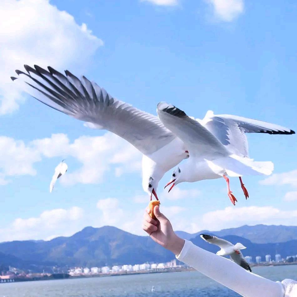 💥向阳而生💥💞