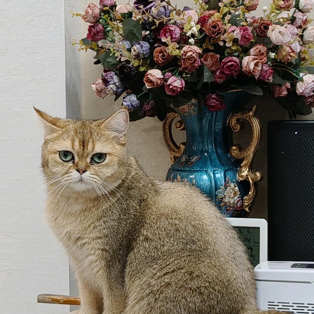 杭州永忆网络科技有限公司