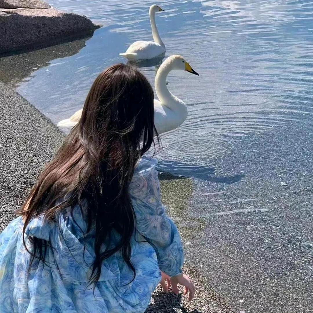 小梓优选