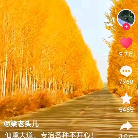 阳光总在风雨后$&.