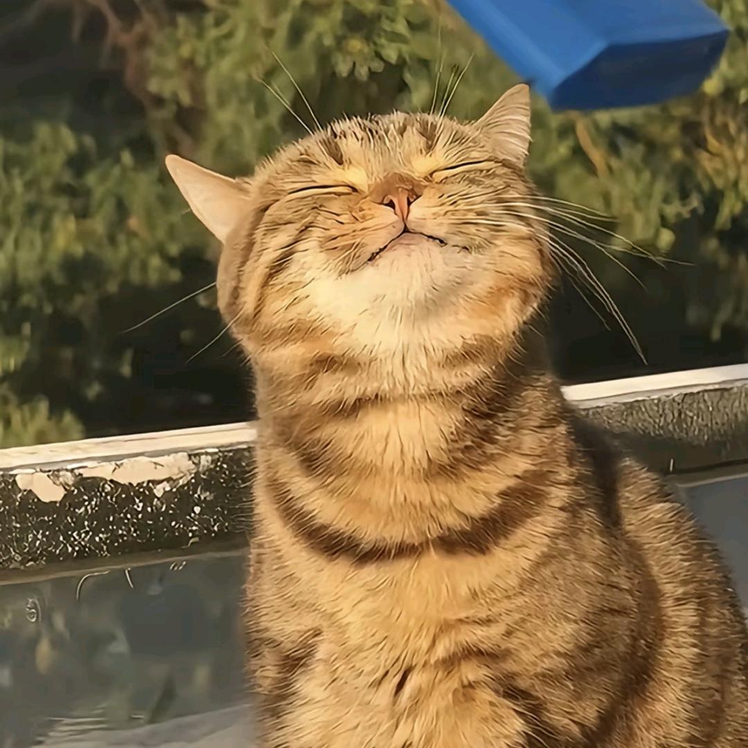 一半人生。🌈