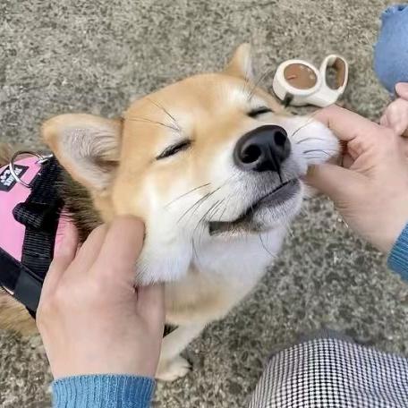 。。。。。。