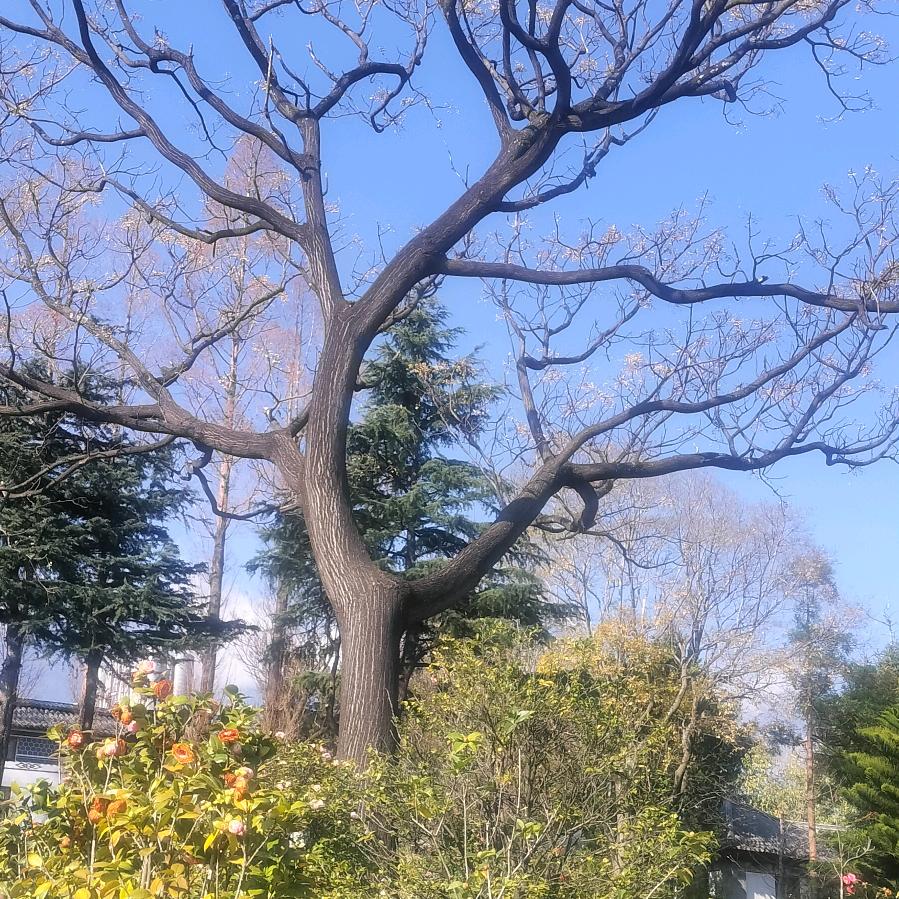 能吃苦的小个子