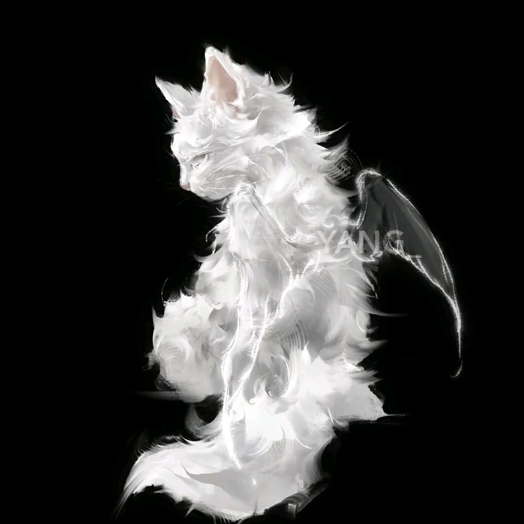 有姝（求推荐）