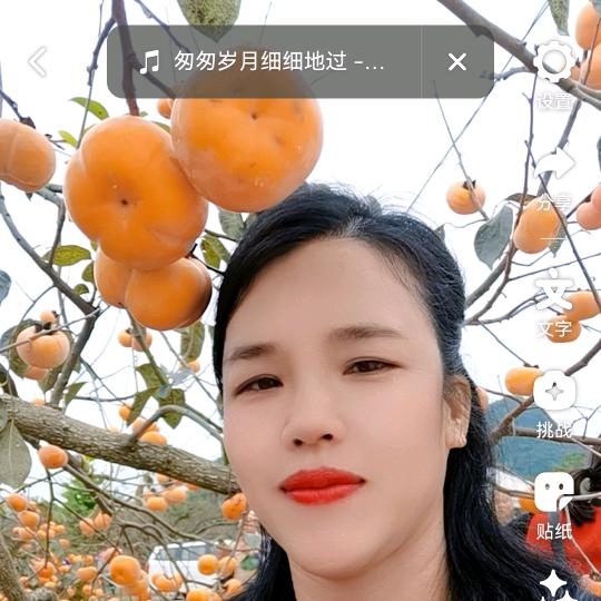 绿叶