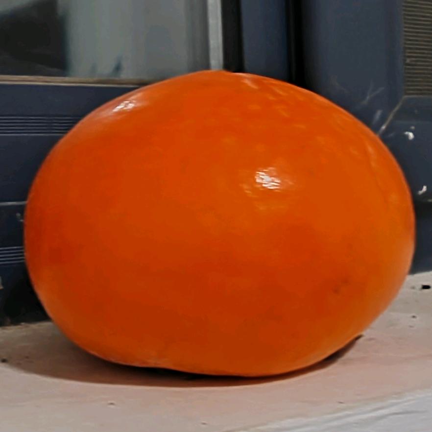 匠炉安全培训学校（潘）