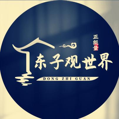 东子观世界