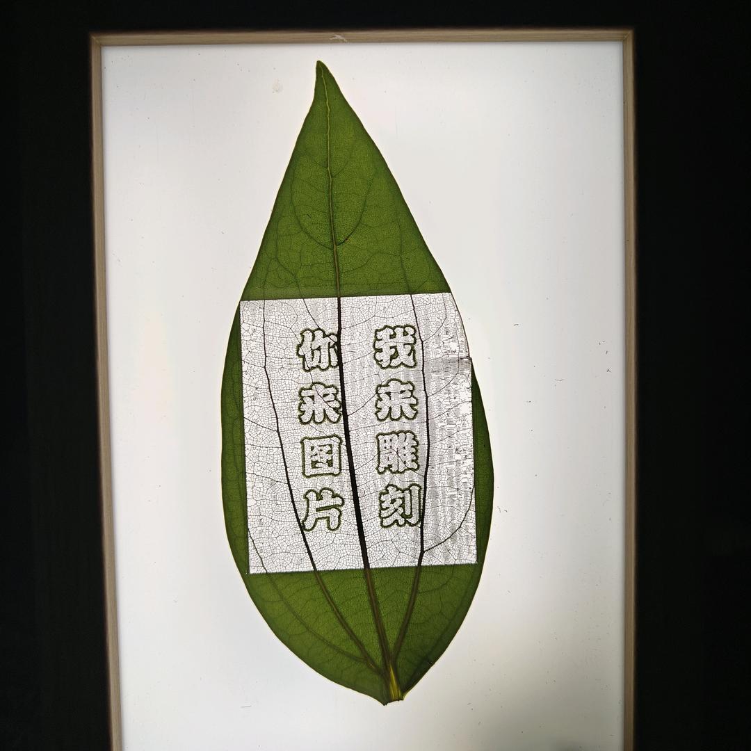 多多叶雕生活馆