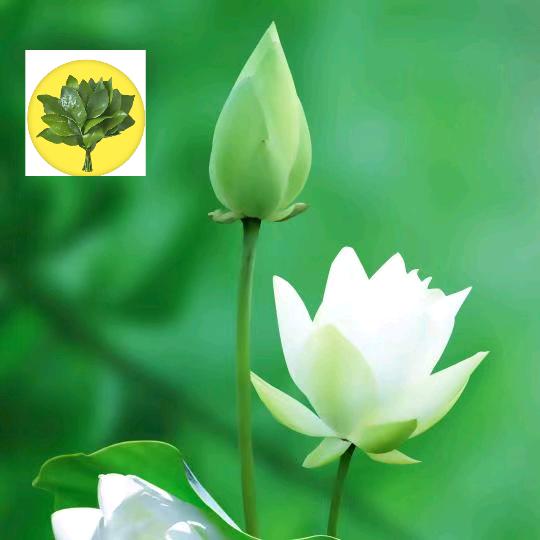 香缘堂@缘来是你