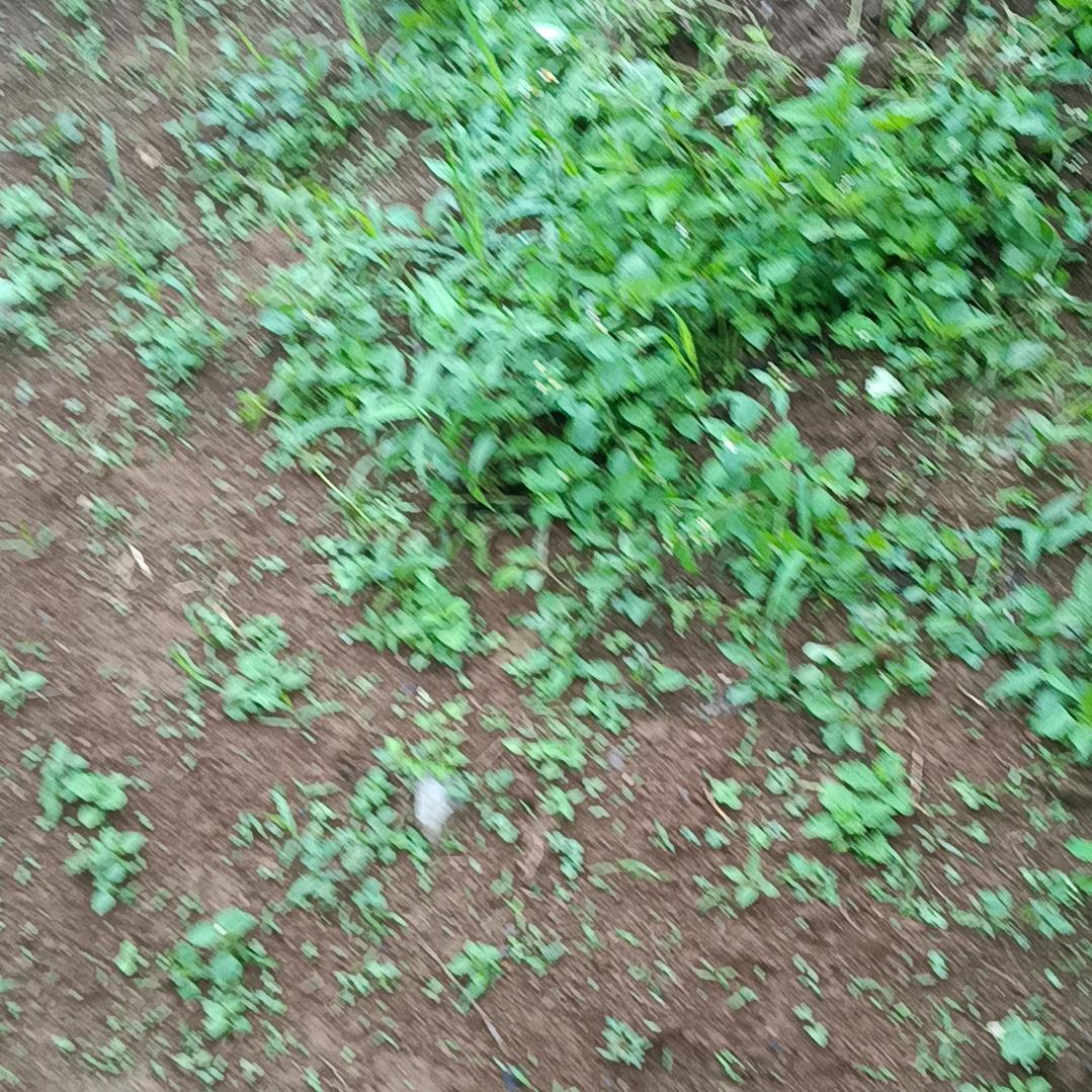 自己慎息